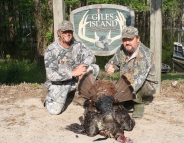 Jim Armstrong Busted Tail Turkey